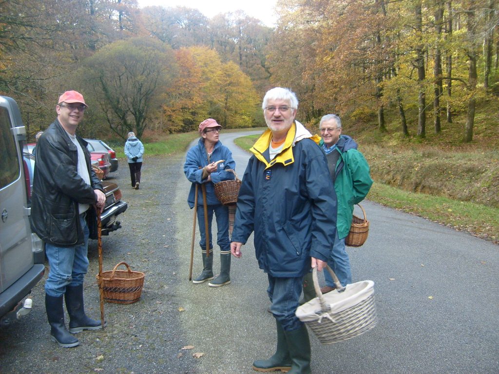 Forêt du Cranou Nov 2008