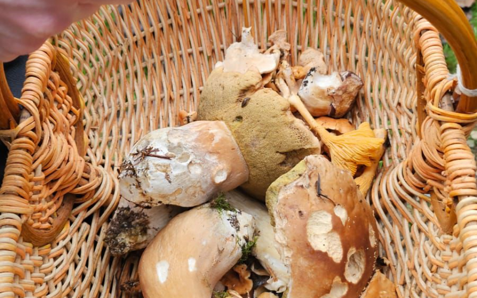 Landévennec – Pique Nique 001